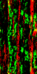 AET002_556_3m_l.png