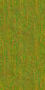 AET002_556_n_l.png