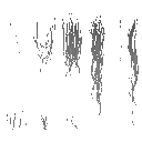 AET002_574_a_l.png
