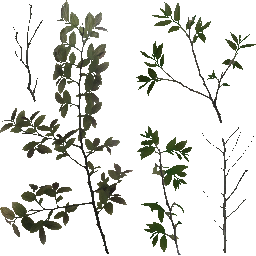 AET003_068_a_l.png