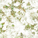 AET003_259_n_l.png