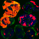 AET003_904_3m_l.png