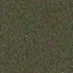 AET003_997_a_l.png