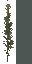 AET005_006_a_l.png