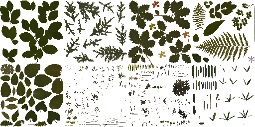 AET005_080_a_l.png