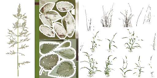 AET005_094_a_l.png