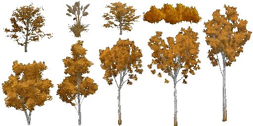 AET005_203_a_l.png