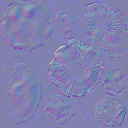 AET005_505_n_l.png