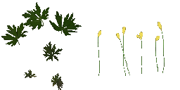 AET005_518_a_l.png