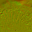 AET007_086_n_l.png