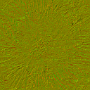 AET007_088_n_l.png