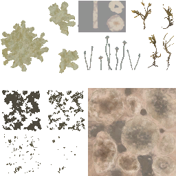 AET007_321_a_l.png