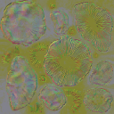 AET007_324_n_l.png