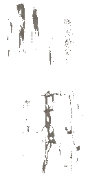 AET007_417_a_l.png