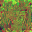 AET007_505_n_l.png