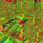 AET008_192_n_l.png