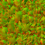 AET055_136_n_l.png