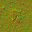 AET055_488_n_l.png