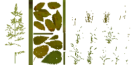 AET066_002_a_l.png