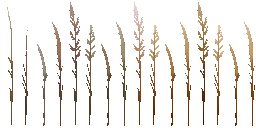 AET066_005_a_l.png