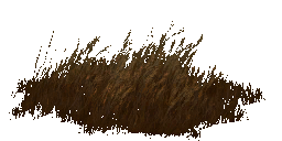 AET066_018_a_l.png