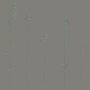 AET066_020_n_l.png