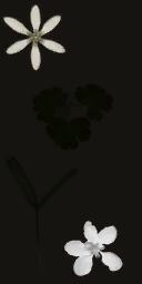 AET066_033_em_l.png