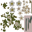 AET066_091_a_l.png