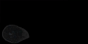 AET066_204_em_l.png