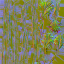 AET099_502_n_l.png