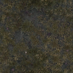 AET210_199_a_l.png