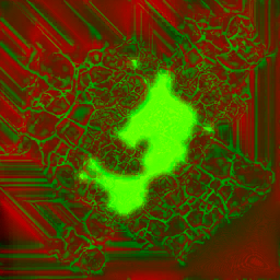 AET210_534_3m_l.png