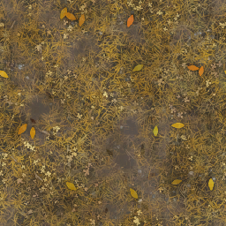 AET210_564_a_l.png