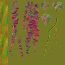 AET210_566_n_l.png