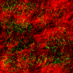 AET210_630_3m_l.png