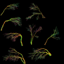 AET210_775_n_l.png