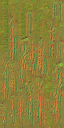 AET220_070_n_l.png