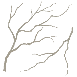 AET220_248_a_l.png
