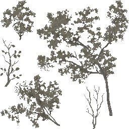 AET220_249_a_l.png