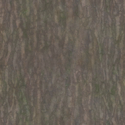 AET220_259_a_l.png