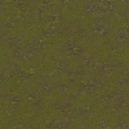 AET220_262_a_l.png