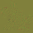 AET220_266_n_l.png