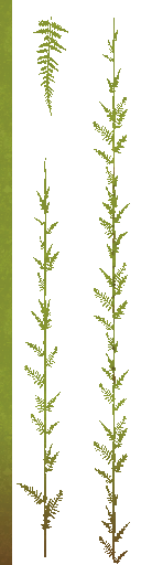 AET230_112_a_l.png