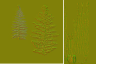 AET230_192_n_l.png