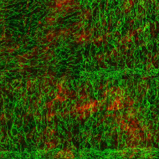 AET230_218_3m_l.png