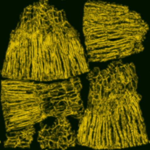 AET230_302_3m_l.png