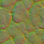 AET230_387_n_l.png