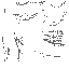 AET230_561_a_l.png