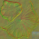 AET230_625_n_l.png