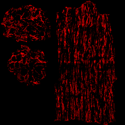 AET230_758_3m_l.png